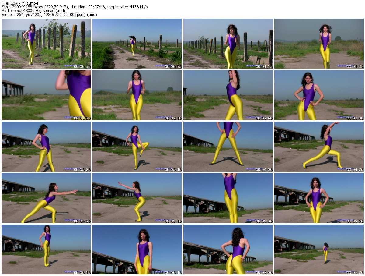 Shinyleotards 35GB-预览图片